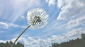 Τελευταία μέρα καλοκαιρίας σήμερα, από αύριο βράδυ βροχές