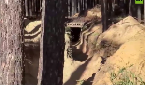 Ουκρανία: Μέσα στα “δάση του ΠΟΛΕΜΟΥ” στην 1η γραμμή, vid