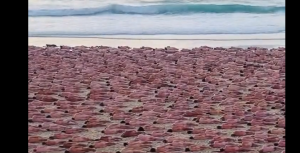 2.500 άνθρωποι πόζαραν…γυμνοί για τον καρκίνο του δέρματος σε παραλία της Αυστραλίας, vid