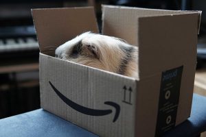 Η AMAZON γίνεται πιο…πράσινη