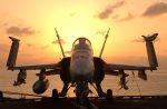 hornet_usa