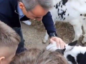 Ο Μητσοτάκης και τα πρόβατα – ΒΙΝΤΕΟ