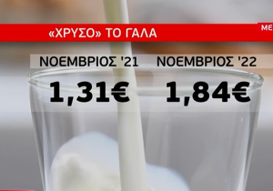 Ακρίβεια: Στα ύψη οι τιμές των γαλακτοκομικών – Είδος πολυτελείας η φέτα