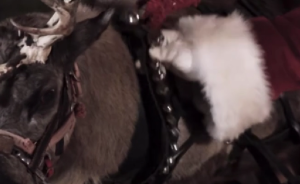 Το μήνυμα του Πενταγώνου στον…Άγιο Βασίλη: “Θα σε βλέπουμε”, vid