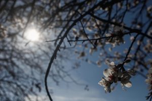 Ανοιξιάτικα Θεοφάνεια αύριο με θερμοκρασίες έως 20 βαθμούς