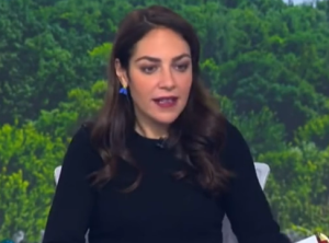 Μιχαηλίδου για «Χαμόγελο του Παιδιού»: «Έχει 20 εκ. ευρώ πλεόνασμα, 5 εκ. στην Ελβετία, ο πρόεδρος μένει σε βίλα των 2 εκ.»