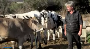 Μένει να πουν ΚΑΙ στους Έλληνες πληρώστε και τα «ΑΕΡΙΑ» των προβάτων – ΑΠΕΛΠΙΣΤΙΚΗ ΚΑΤΑΣΤΑΣΗ των κτηνοτρόφων, vid