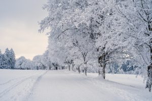«Υπερθέρμανση» στον Καναδά: Σφοδρή χιονοθύελλα στο Βανκούβερ, ματαιώθηκαν 50 πτήσεις