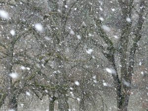 Το πρώτο χιόνι της σεζόν δέχθηκε η Δυτική Μακεδονία – Στα λευκά η Φλώρινα, vid