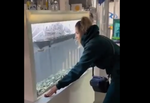 ΒΙΝΤΕΟ: Μουσείο στο Λβιβ της Ουκρανίας παρέχει τη δυνατότητα να…βυθίσει κάποιος ρωσικό πλοίο