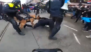 ΔΕΝ ΞΕΧΝΑΜΕ τι έκαναν στο “όνομα της επιστήμης”, vid