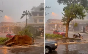 Η στιγμή που ο αέρας ξηλώνει κυριολεκτικά δέντρο από το έδαφος – ΒΙΝΤΕΟ