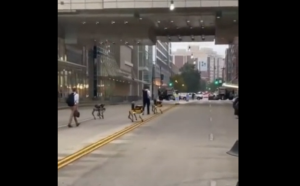 Εντοπίστηκαν σκυλιά ρομπότ στην Ουάσινγκτον! Τα έχασε αυτός που τράβηξε το ΒΙΝΤΕΟ! vid