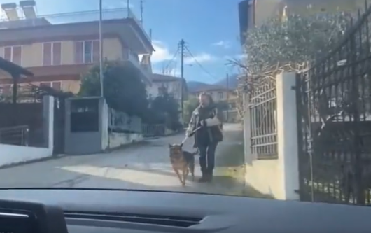 Θεσσαλονίκη: Η στιγμή που ιδιοκτήτης σκύλου ξαναβλέπει το λυκόσκυλό που είχε χάσει πριν 5 χρόνια – ΔΕΝ ΘΑ ΑΝΤΕΞΕΤΕ