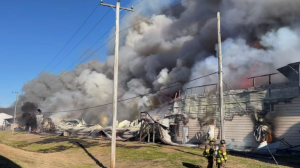 Δικαίωση του ρεπορτάζ του ΕΛ!!! Τεράστιο «ΧΤΥΠΗΜΑ» στην παραγωγή αυγών (video ΣΟΚ)