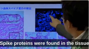 «Παγκόσμιος ΣΕΙΣΜΟΣ»: Γιαπωνέζοι επιστήμονες διερευνούν την σχέση ΘΑΝΑΤΩΝ-ΕΜΒΟΛΙΩΝ: «Αυτά βρήκαμε», vid