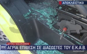 ΑΠΟΛΥΤΟ ΣΟΚ! Άνδρας όρμησε σε ασθενοφόρο του ΕΚΑΒ – Έσπασε το τζάμι και τραυματίστηκε ο διασώστης