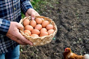 Μία απίστευτη πατέντα όταν μαγειρεύετε αυγά