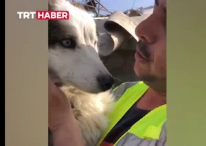 Τουρκία:  Διασώθηκε σκύλος μετά από 23 ημέρες – Έγλυφε από χαρά τους διασώστες