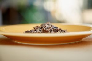 ΕΝΤΟΜΑ στα τρόφιμα: Από το αλεύρι μέχρι τις σάλτσες – vid