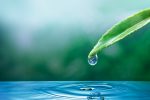 ecosystem-water-drop-nature-background-earth-day-campaign