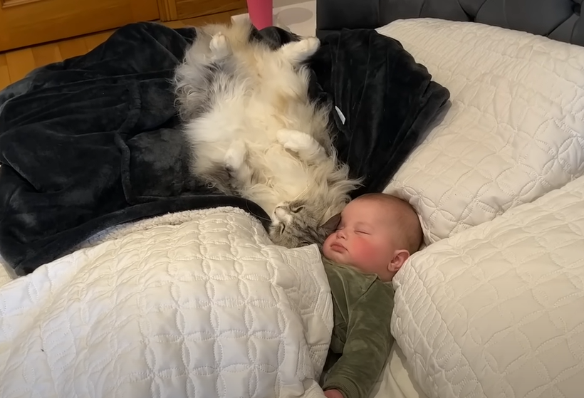 Δείτε πως κοιμάται δίπλα στο μωράκι η γατούλα