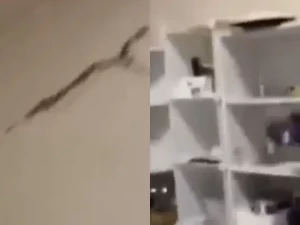 Σεισμός στο Αφγανιστάν: Βίντεο από τη στιγμή που χτύπησε ο Εγκέλαδος