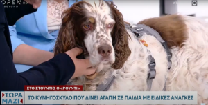 Γνωρίστε τον Ρούντι, το κυνηγόσκυλο που δίνει αγάπη σε παιδιά με ειδικές ανάγκες