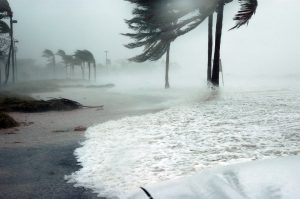 Τυφώνας Χαϊκούι: Η Ταϊβάν εκκενώνει χιλιάδες και ακυρώνει πτήσεις καθώς πλησιάζει η καταιγίδα (video)