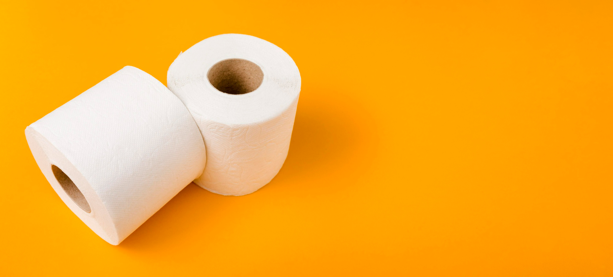 Two rolls. Toilet Roll. Toilet paper Mockup.