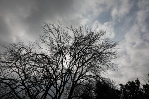 Με τι καιρό ψηφίζουμε σήμερα: Νεφώσεις τοπικές βροχές αλλά και καταιγίδες