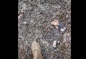 Εκατομμύρια σφαίρες!! ΒΙΝΤΕΟ από το διαλυμένο Μπακχμούτ