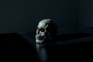 Μικρά παιδιά βρήκαν ανθρώπινο κρανίο σε πλαστική σακούλα στον κήπο τους! 
