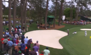 Η σοκαριστική στιγμή που δύο πανύψηλα δέντρα πέφτουν πάνω στο πλήθος, vid