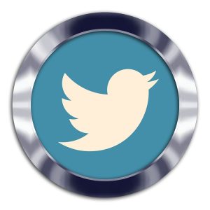 Come back για το σήμα του Twitter: O Έλον Μασκ το επανέφερε
