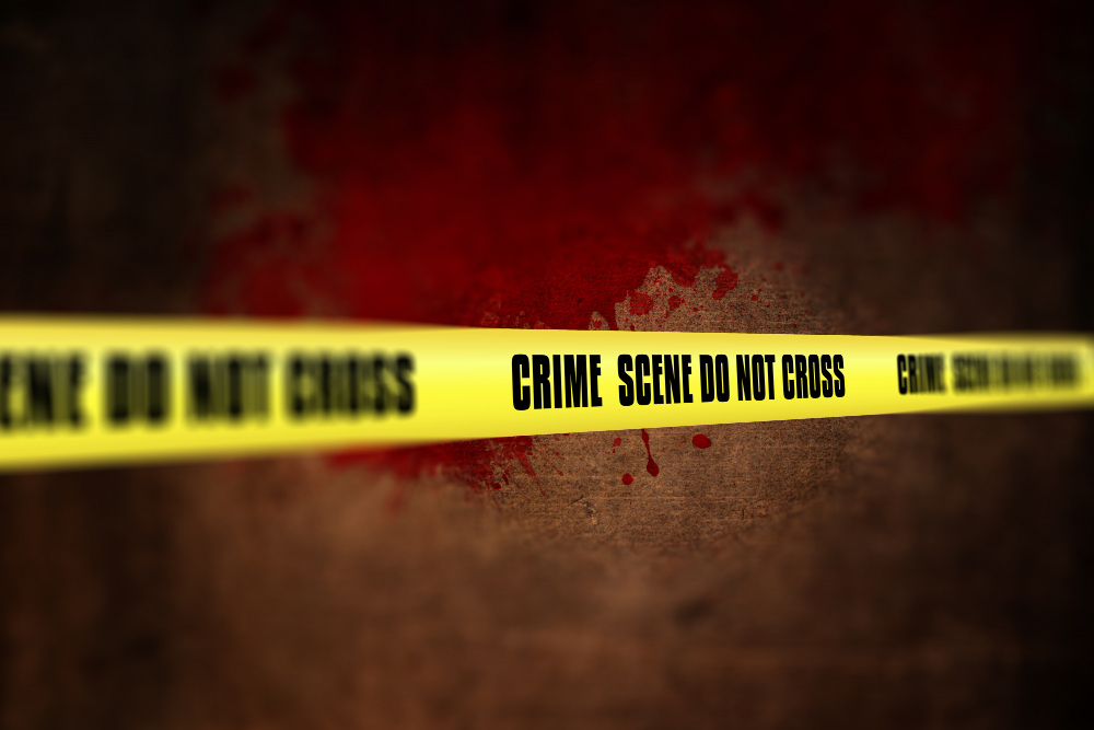 Άγρια δολοφονία στις ΗΠΑ: Άνδρας φέρεται ότι σκότωσε την μητέρα του γιατί νόμιζε ότι τον δηλητηριάζει