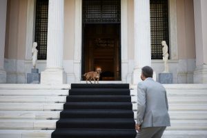 Ο Peanut γίνεται «κομματόσκυλο» – Μετακομίζει στα γραφεία της ΝΔ (video)