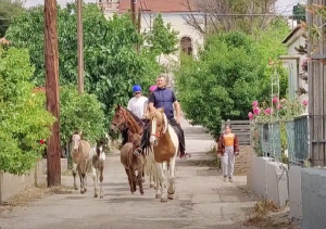 Αγρότης ψήφισε μαζί με τα άλογα και τα γαϊδούρια του, vid