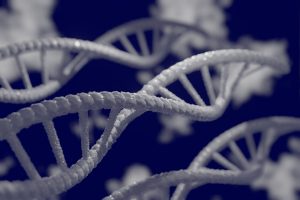 Συνεχίζουν τα παιχνίδια με το ανθρώπινο DNA… Γεννήθηκε μωρό με γενετικό υλικό από τρία διαφορετικά άτομα!!!