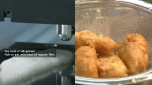 Μαγείρεψαν και σέρβιραν… 3D ψάρι!!! Το νέο μενού των ανθρώπων ετοιμάζεται… vid