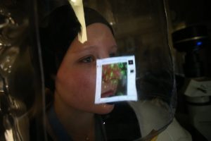 «Ετοιμαστείτε για τον τρόμο του Μάρμπουργκ»: Αυτή θα είναι η νέα πανδημία;;;