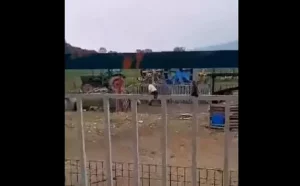 Άνδρας χτυπάει σκύλο με ξύλο – ΒΙΝΤΕΟ με σκληρές εικόνες από τον Λαγκαδά Θεσσαλονίκης