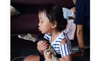Παιδάκι δίνει φιλί σε μωρό κροκόδειλου