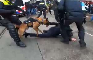 Αστυνομικός σκύλος δαγκώνει με μανία το χέρι διαδηλωτή – Σκληρό ΒΙΝΤΕΟ