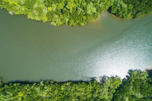 Κρήτη: Εκβολές ποταμού γέμισαν με νεκρά ψάρια, vid