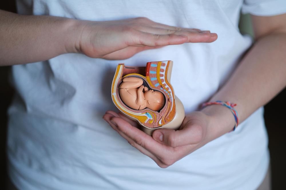 Ρωσία: Κατασχέθηκαν 200 μοντέλα ανθρώπινων εμβρύων από την Γερμανία – ΒΙΝΤΕΟ
