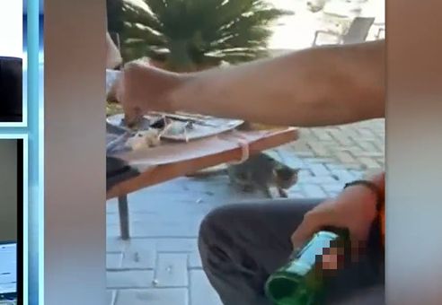 Θάσος: Δελεάζει το γατί με μεζέ και το χτυπάει με ένα μπουκάλι μπύρα – Γύρω του γελάνε, vid