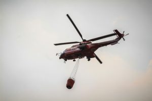 Τρομερή εικόνα στον φλεγόμενο Έβρο, vid