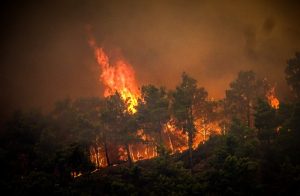 Λακωνία: Πυρκαγιά σε δασική έκταση