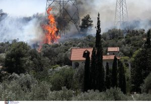 Φλέγεται η Κέρκυρα: «Οργανωμένο σχέδιο να μας κάψουν» – Νέο 112, vid
